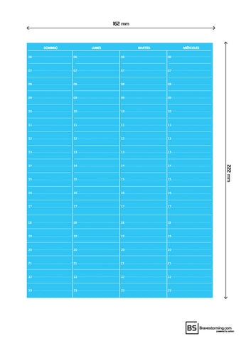 Spanish Weekly Plan Blue Portrait