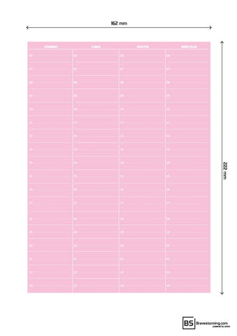 Spanish Weekly Plan Pink Portrait